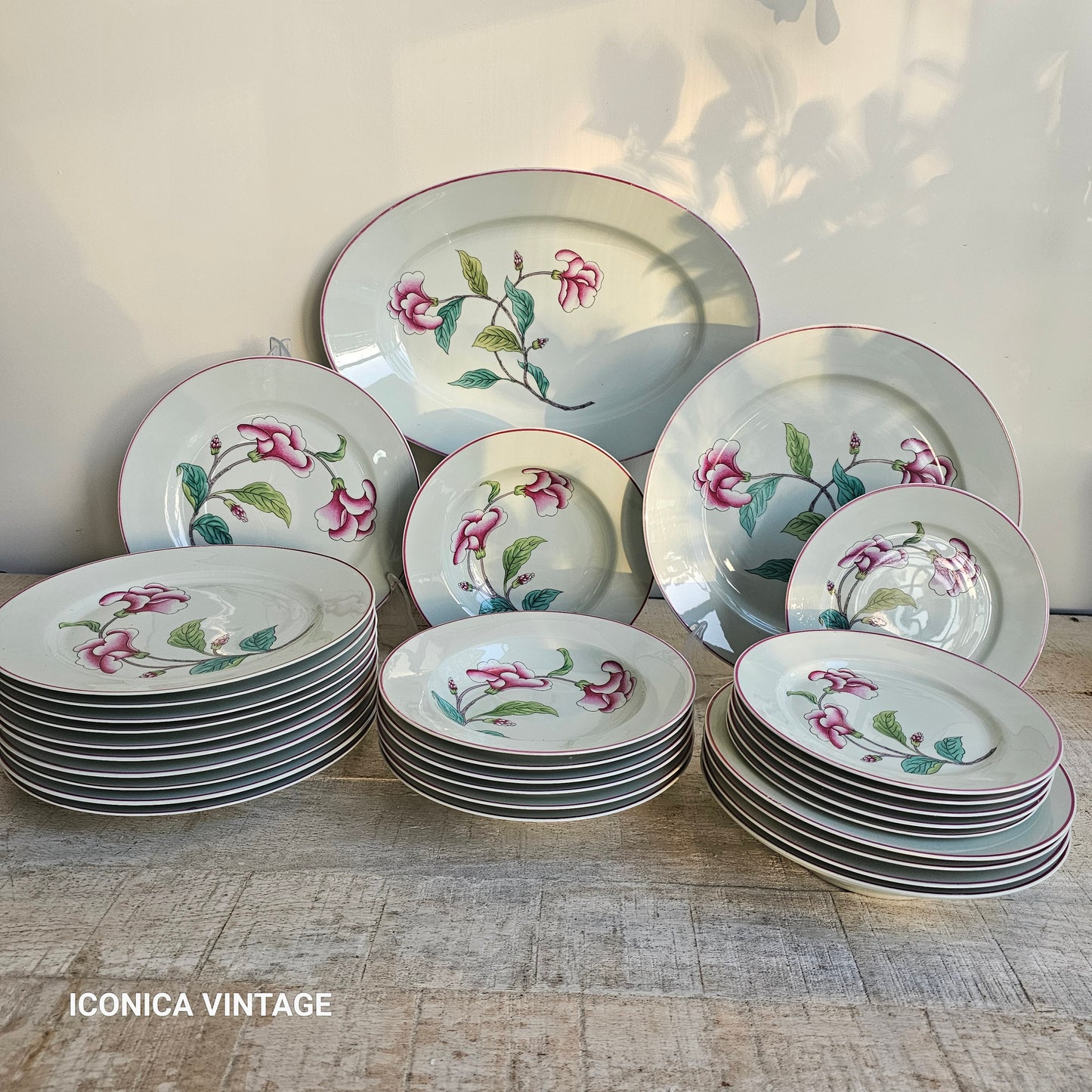 Vajilla  Porcelana de Paris, para hasta 10 comensales