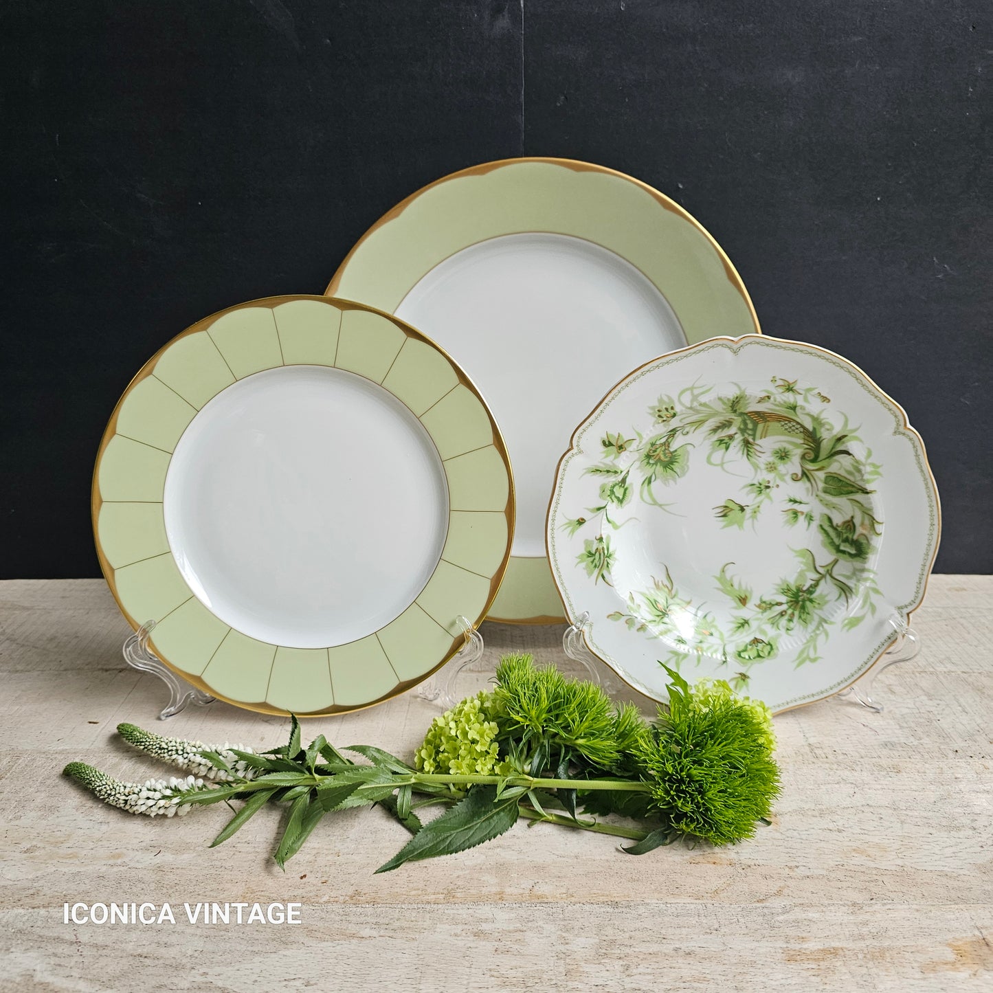 Mix and match "intergeneracional" de Haviland