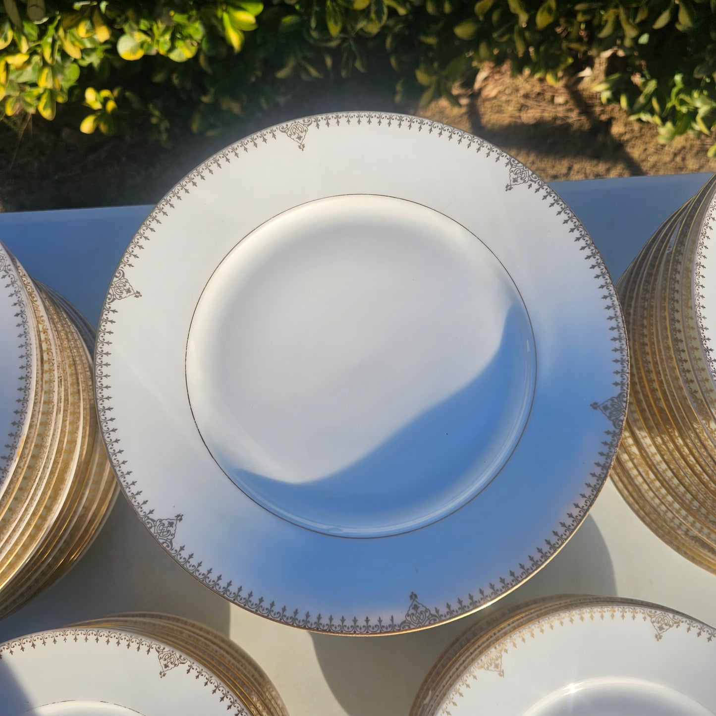 La gran vajilla de porcelana francesa