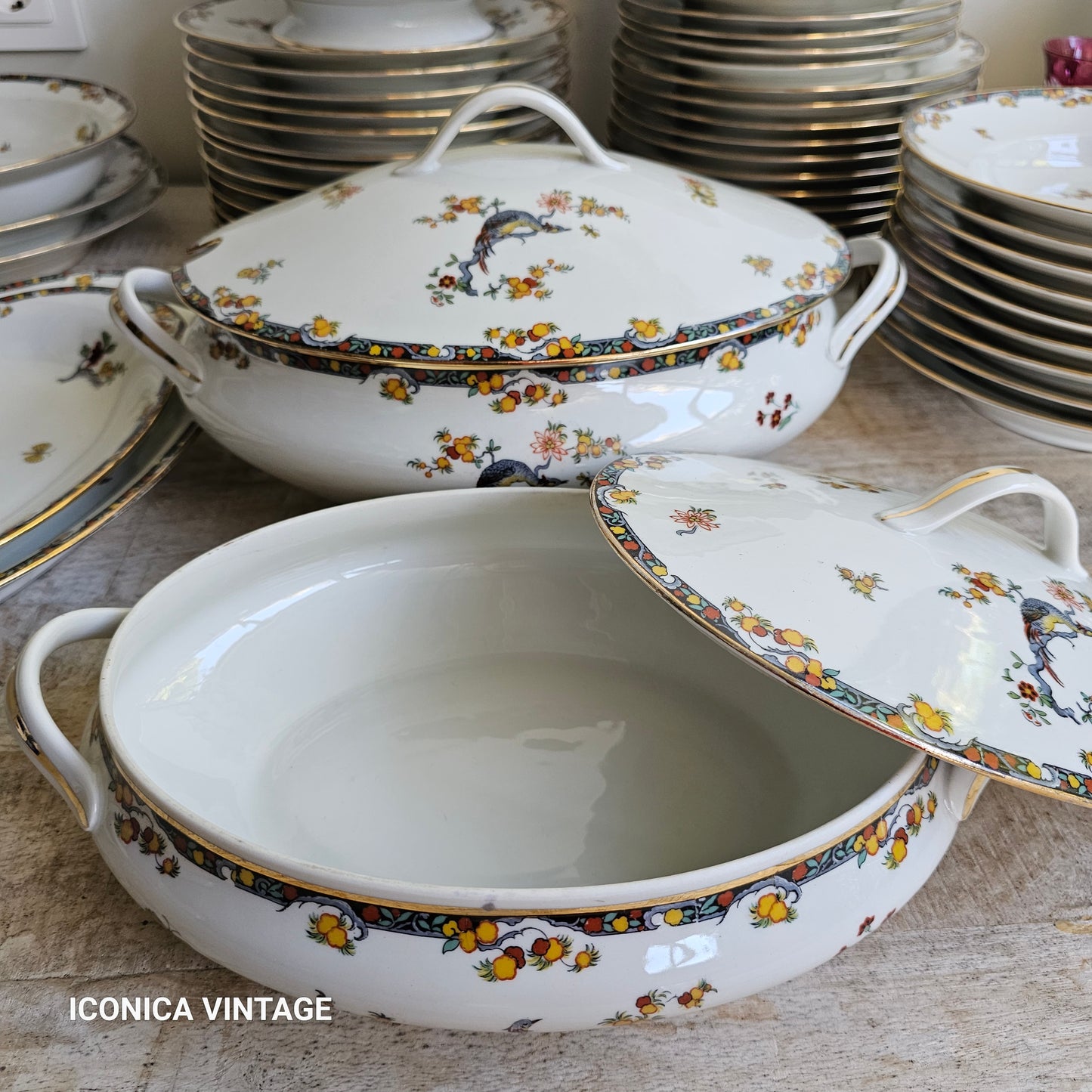 La vajilla de los pájaros en porcelana de Limoges