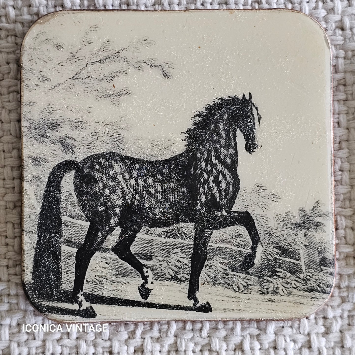 Juego de posavasos vintage con caballos