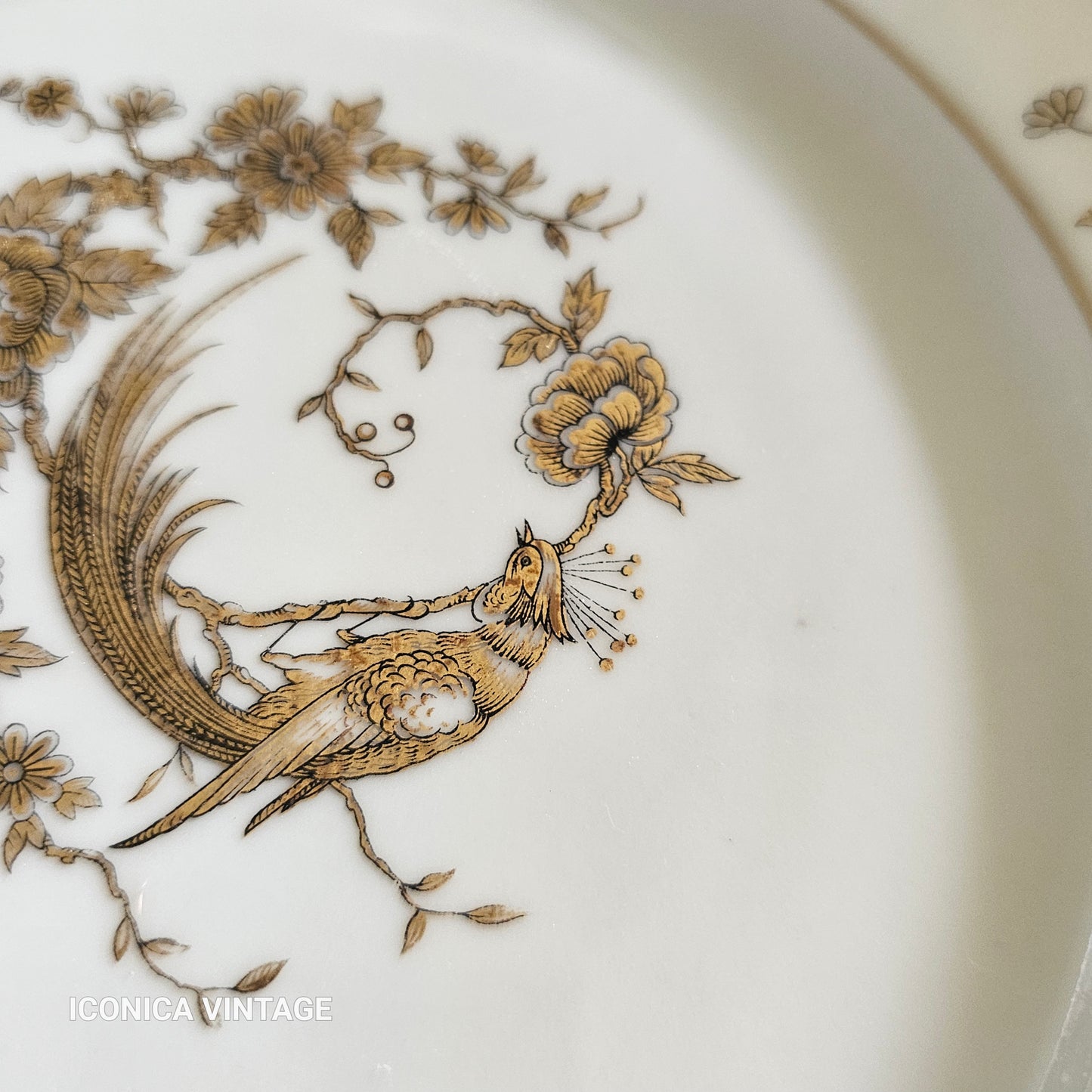 Juego de postre de porcelana de Limoges