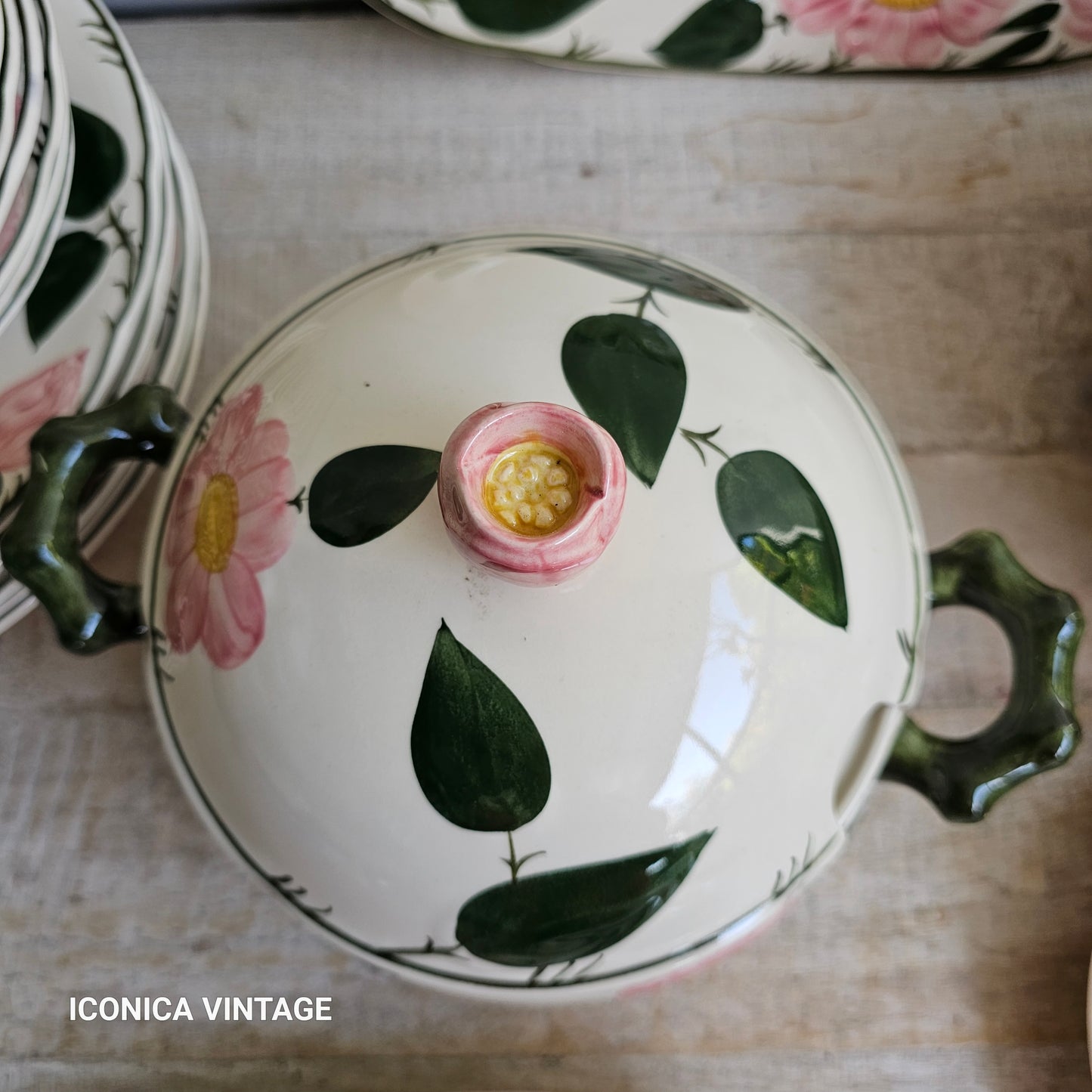 Vajilla Wild Rose de Villeroy Boch, para 6
