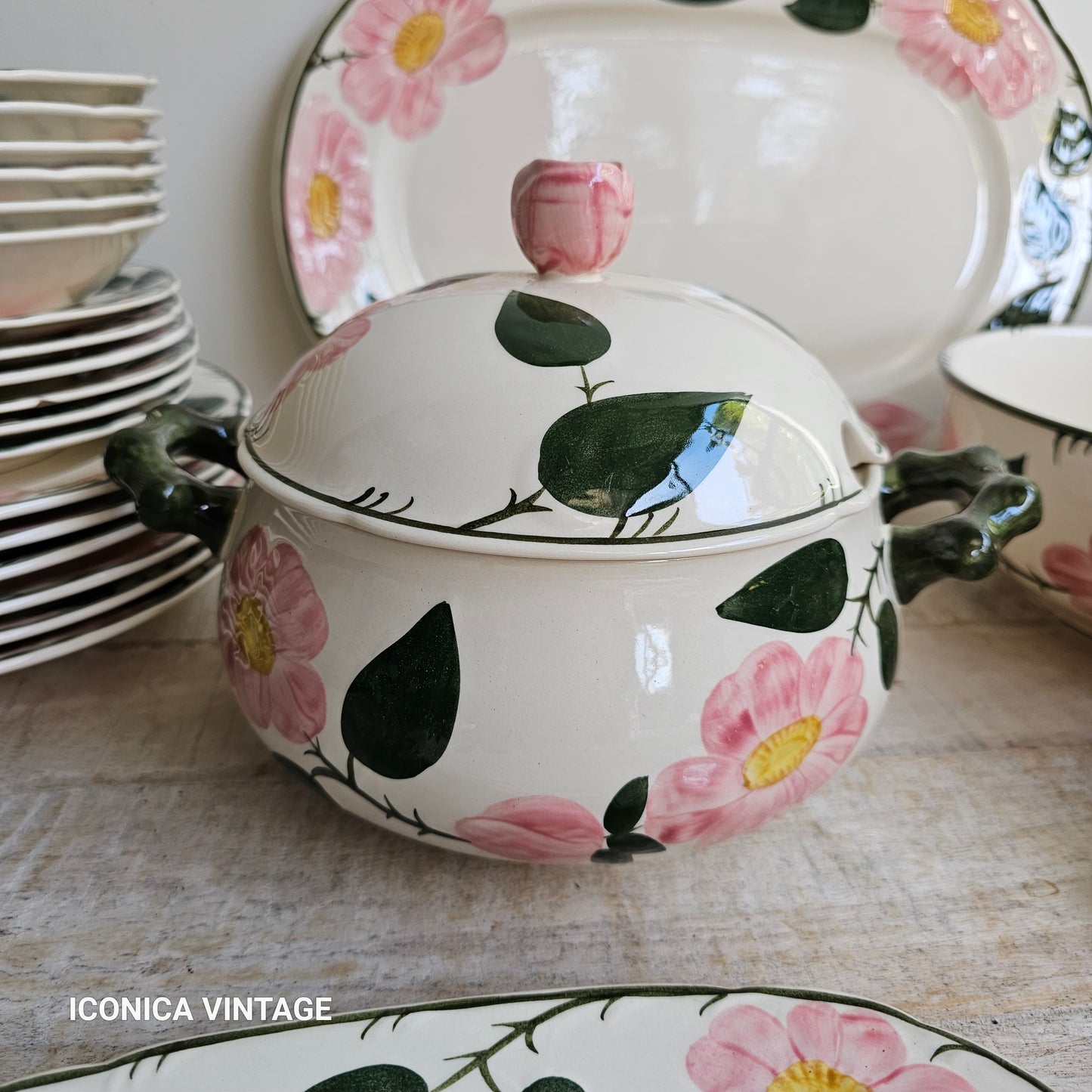 Vajilla Wild Rose de Villeroy Boch, para 6