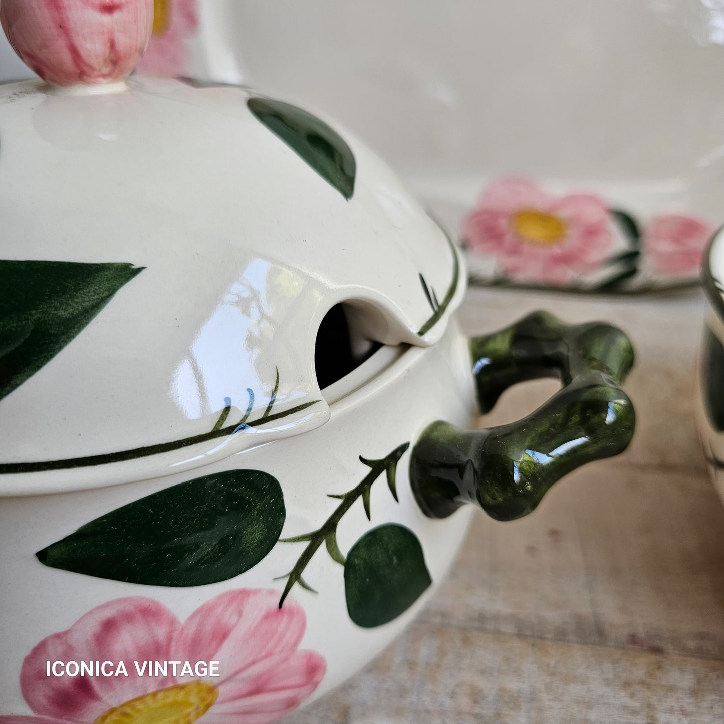 Vajilla Wild Rose de Villeroy Boch, para 6