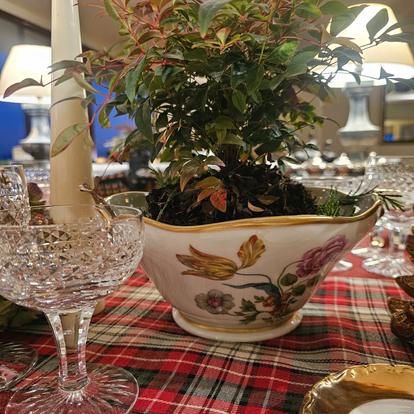 Vajilla Louis Lourioux