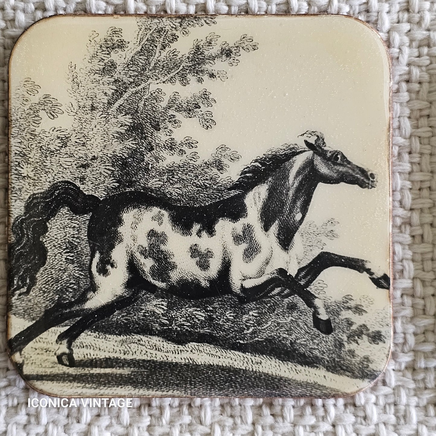 Juego de posavasos vintage con caballos