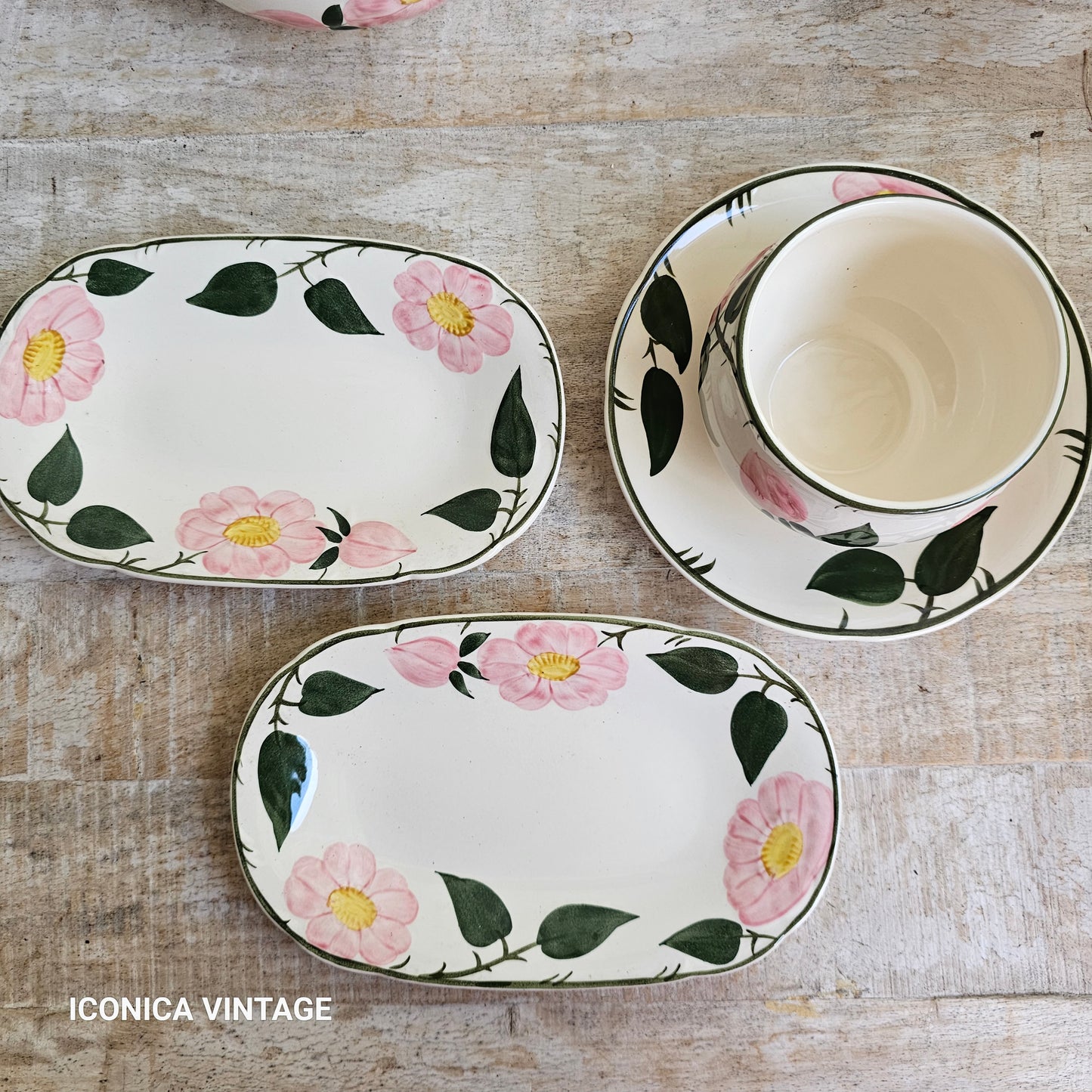 Vajilla Wild Rose de Villeroy Boch, para 6