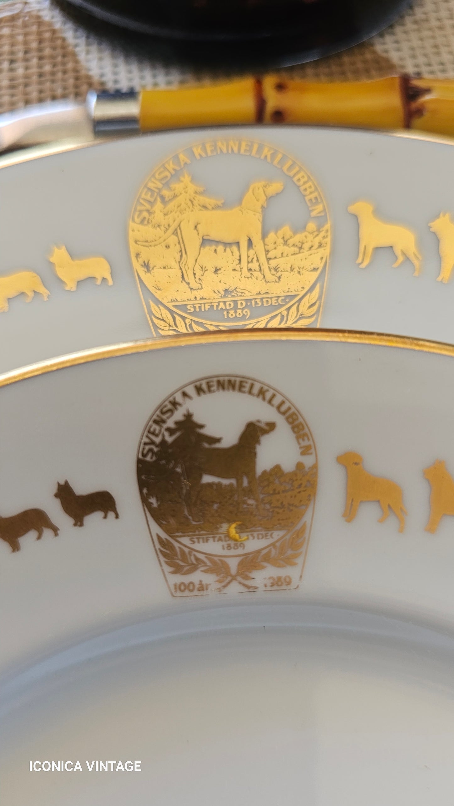 La Vajilla más bonita para los amantes de los perros