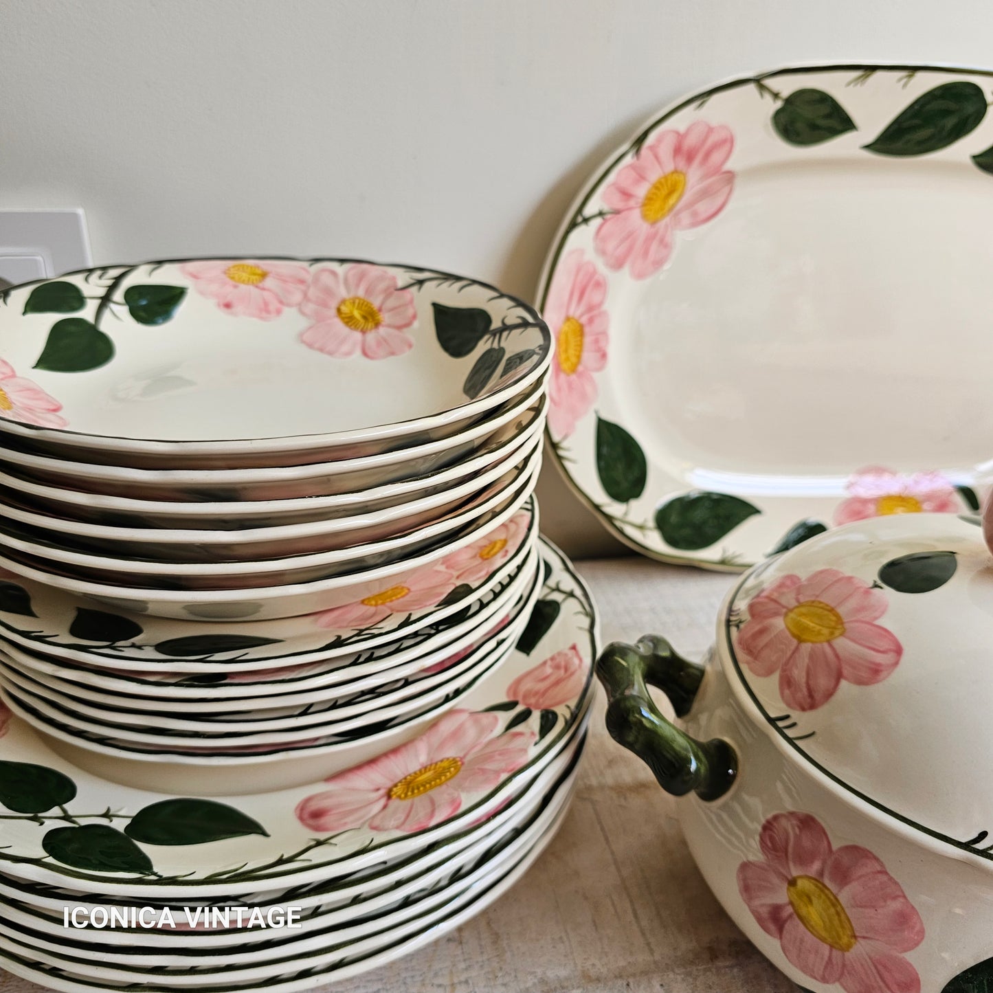 Vajilla Wild Rose de Villeroy Boch, para 6