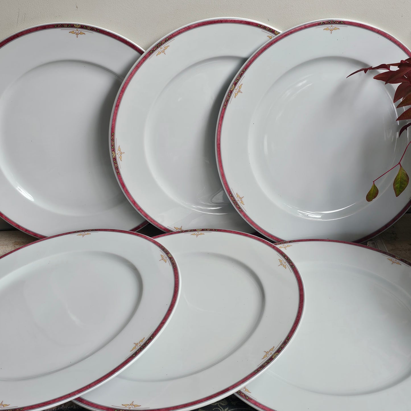 Set de 6 bajoplatos filo rosa