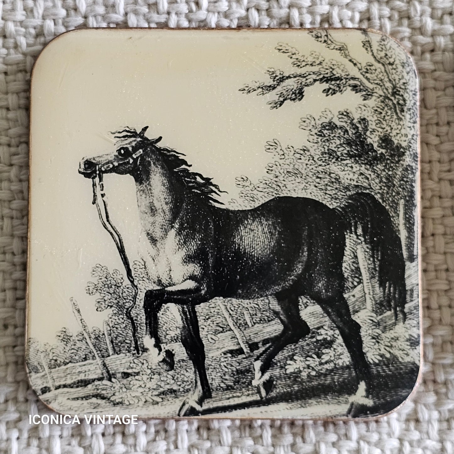 Juego de posavasos vintage con caballos
