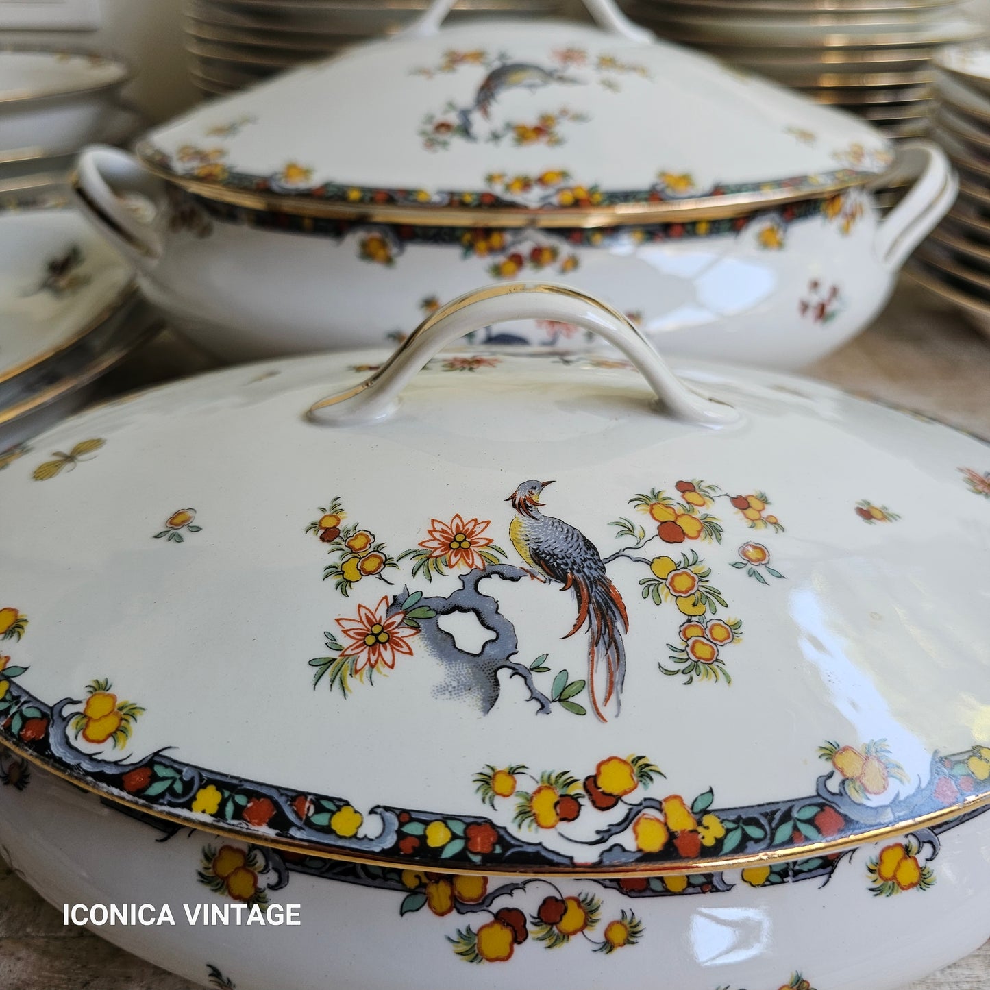 La vajilla de los pájaros en porcelana de Limoges