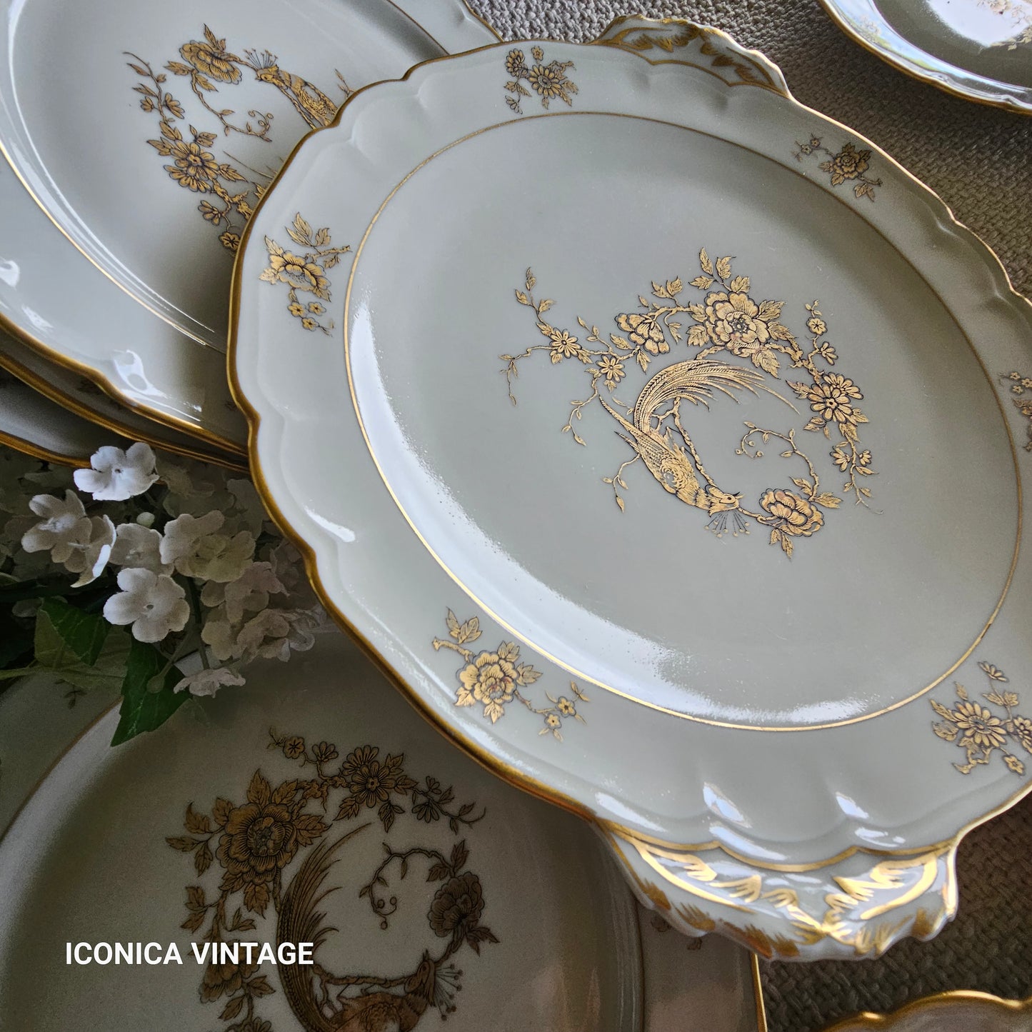 Juego de postre de porcelana de Limoges