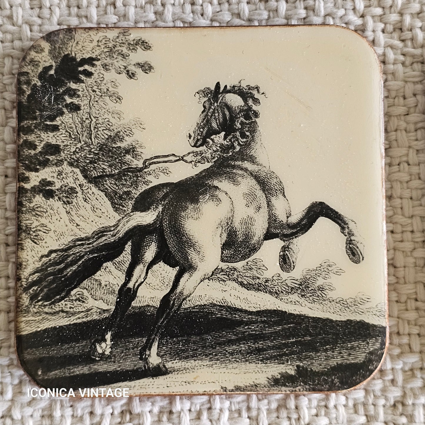 Juego de posavasos vintage con caballos