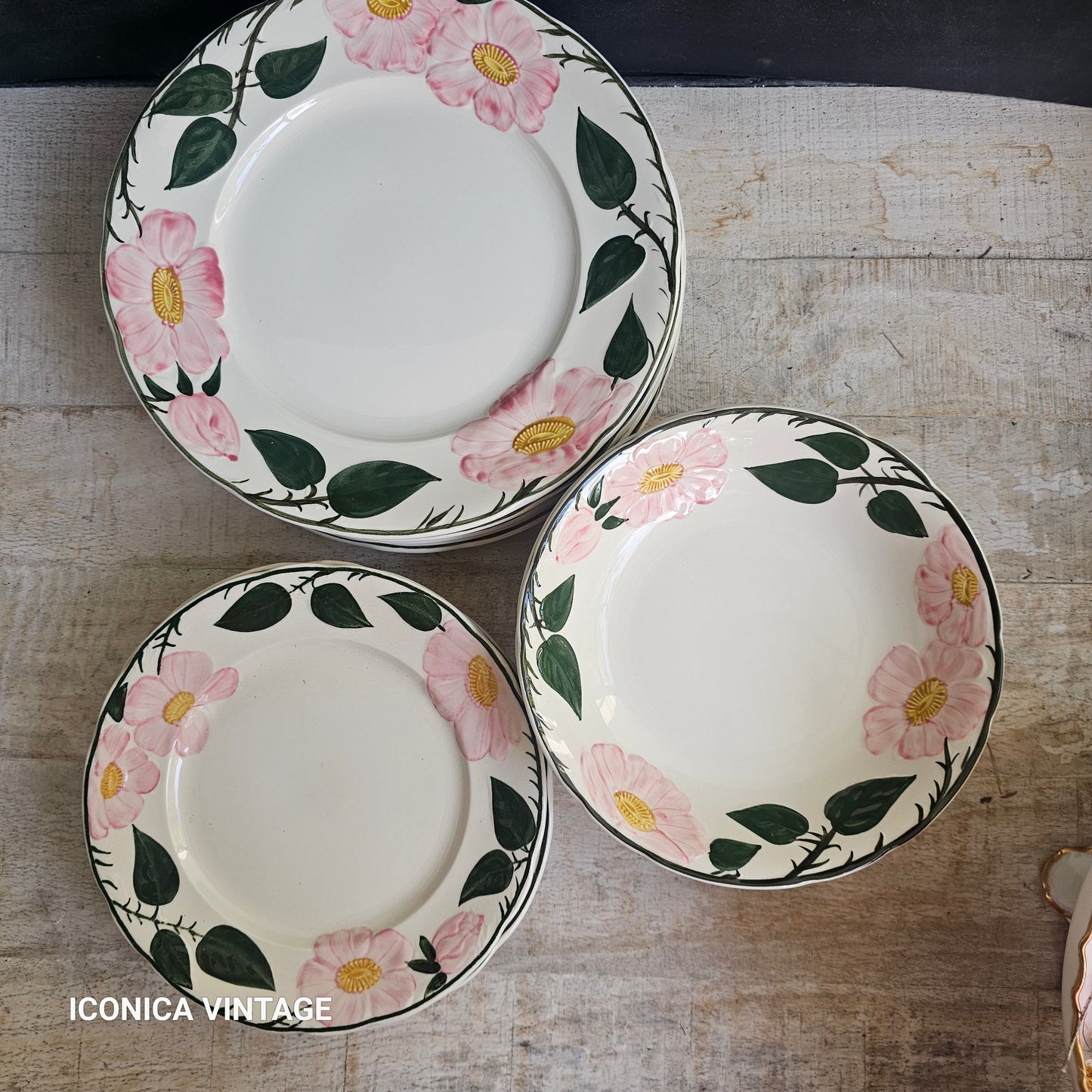 Vajilla Wild Rose de Villeroy Boch, para 6, sólo platos