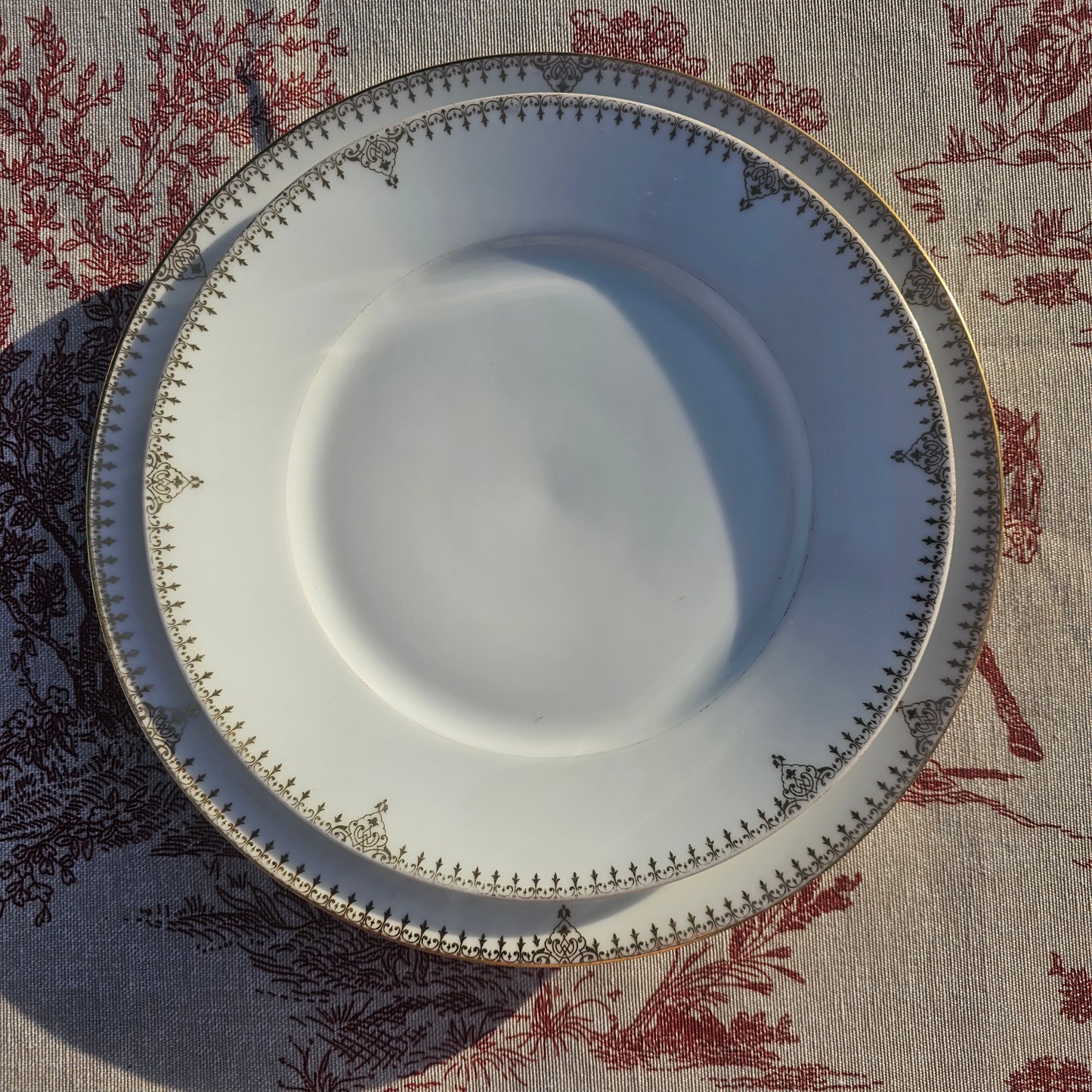 La gran vajilla de porcelana francesa
