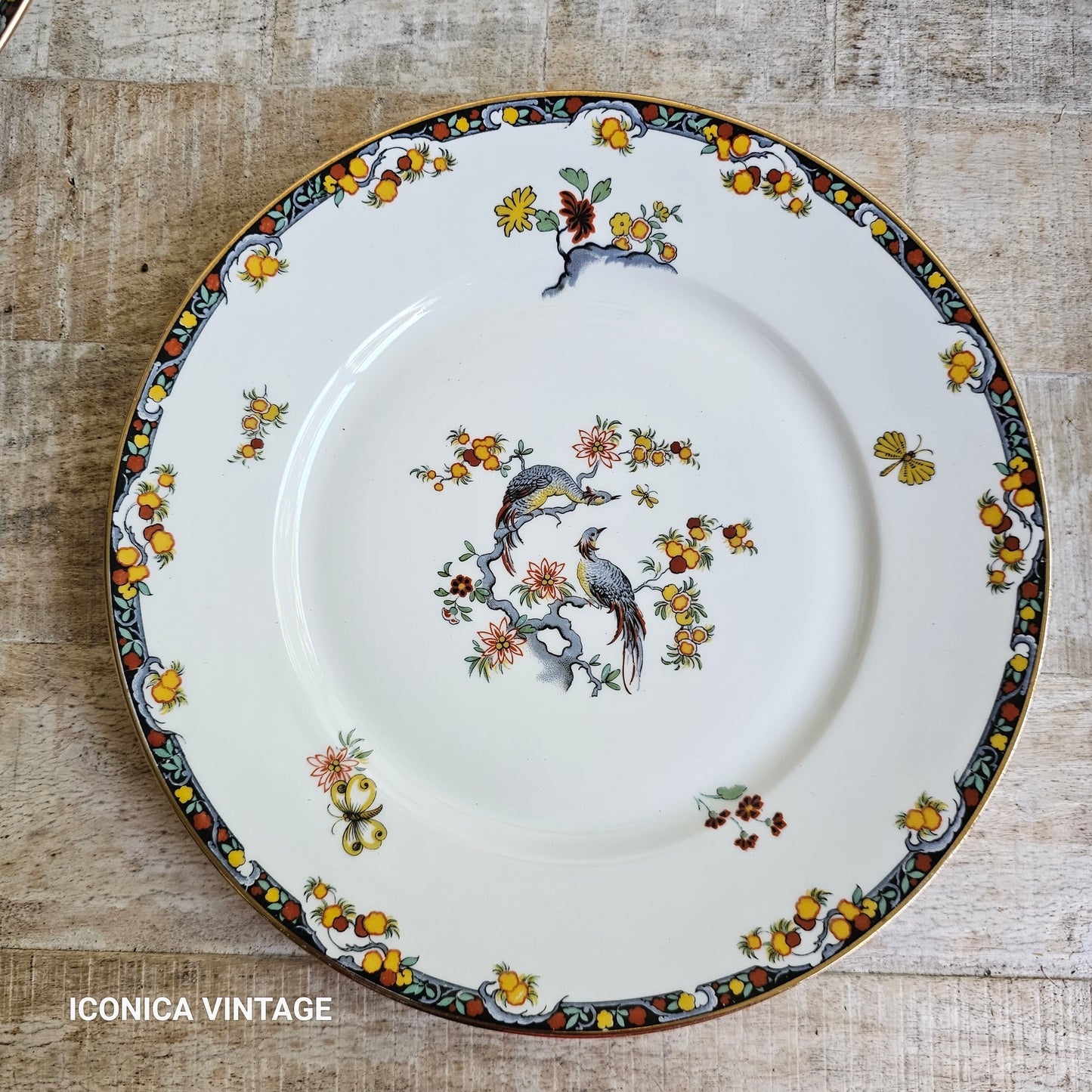 La vajilla de los pájaros en porcelana de Limoges