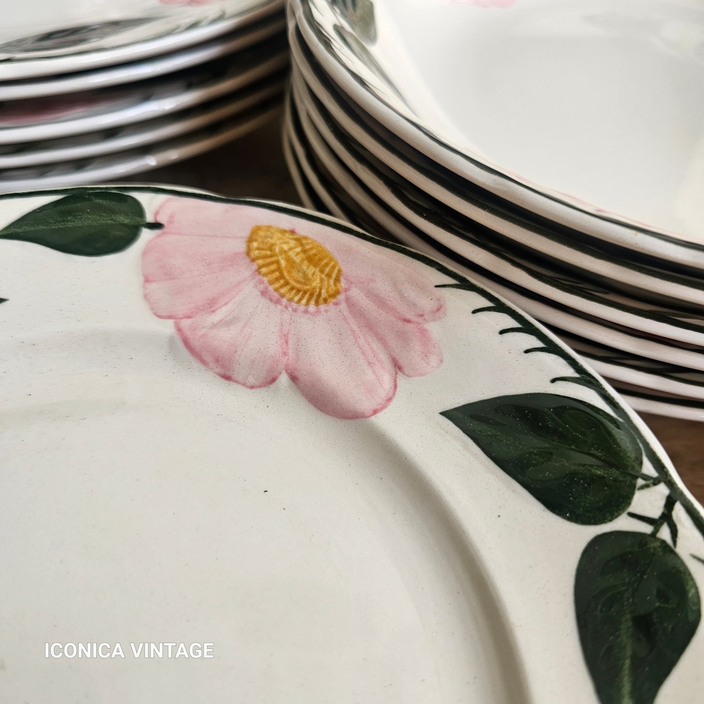 Vajilla Wild Rose de Villeroy Boch, para 6, sólo platos