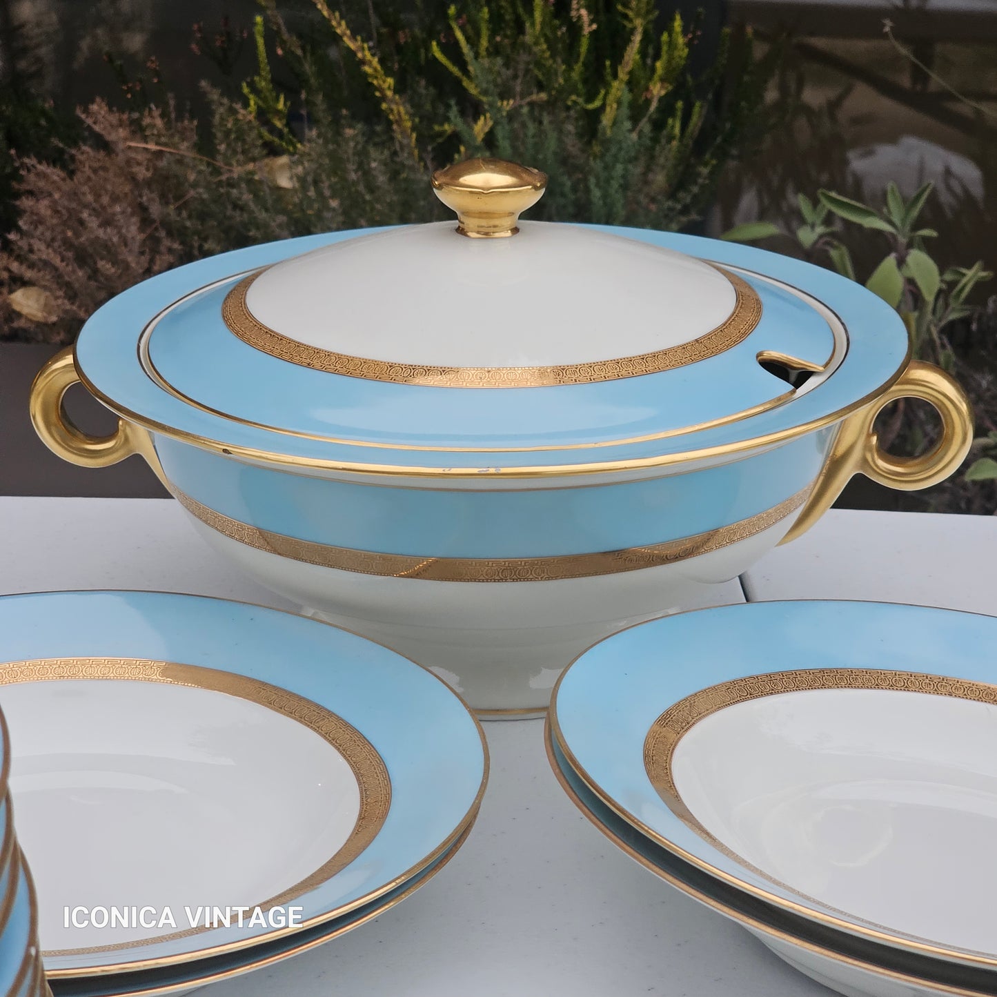 Servicio de cena Haviland color celeste