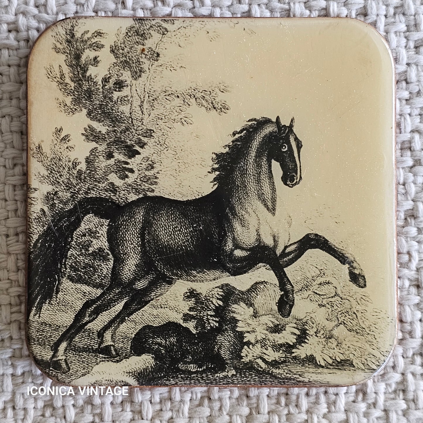 Juego de posavasos vintage con caballos