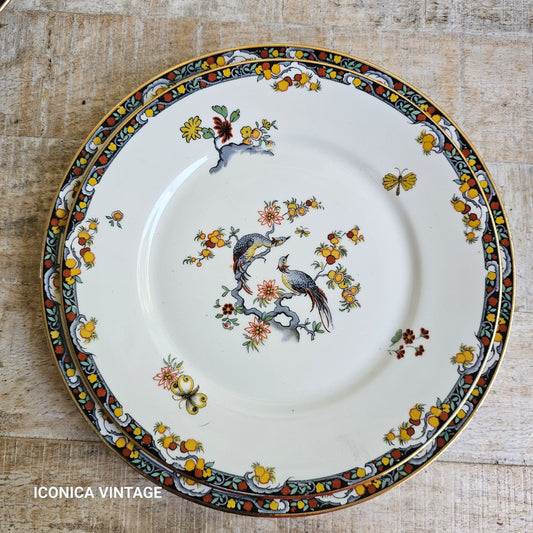 vajilla porcelana francesa pajaros