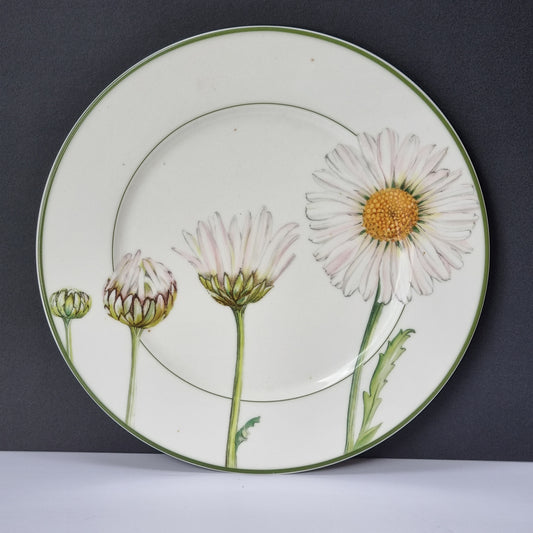 6 Bajoplatos Villeroy & Boch Flora Margarita