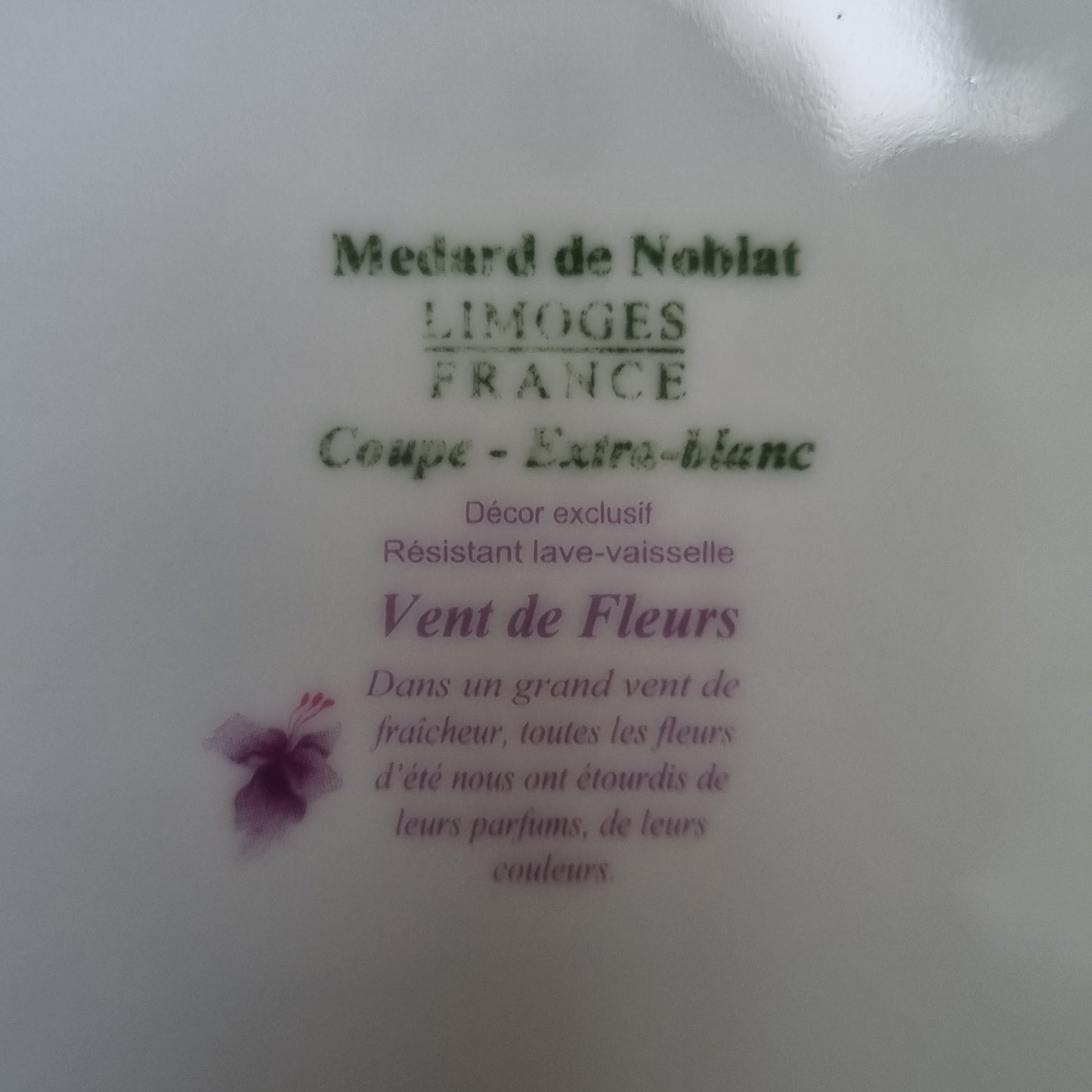 8 platos Medard de Noblat "Fleur de vents"