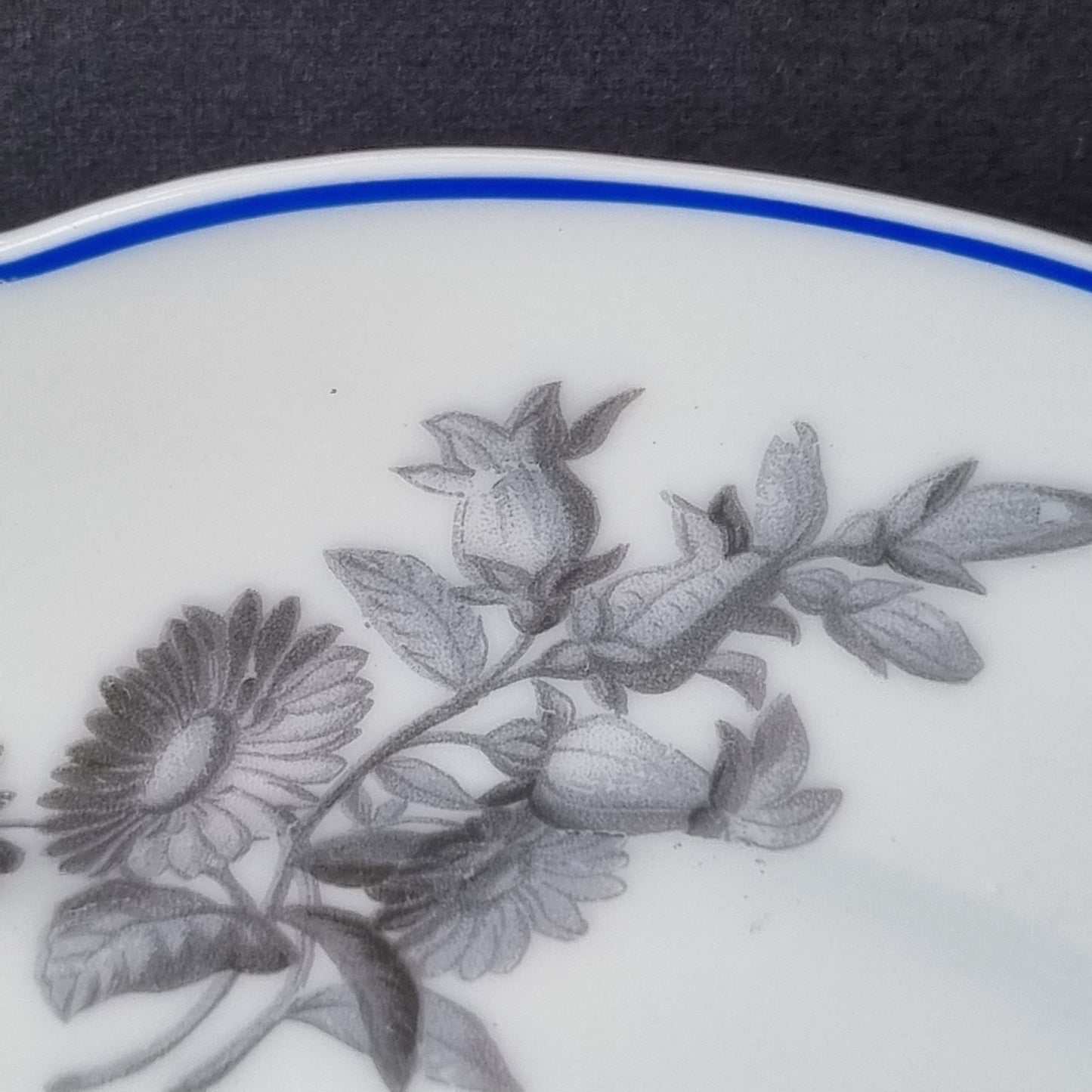 Juego de 6 platos de porcelana siglo XIX